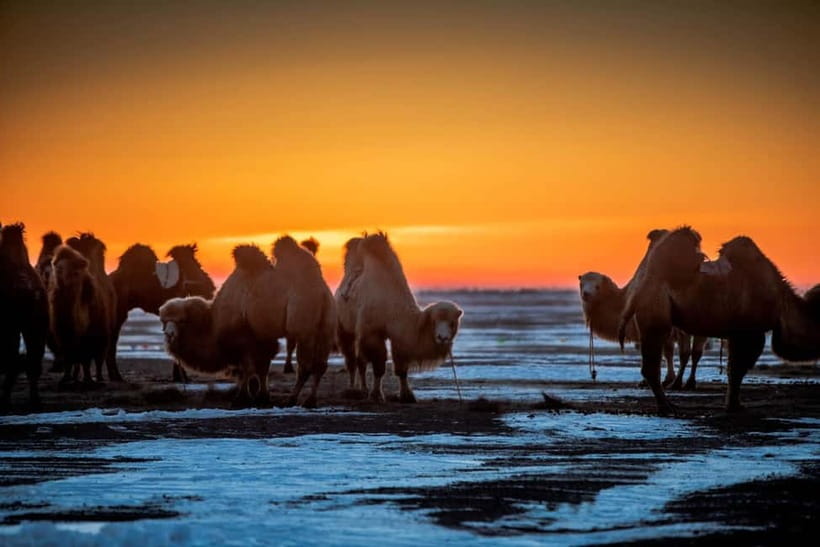 Ulaanbaatar: 4-Day Central Mongolia Winter Tour - Why this four-day route works in winter