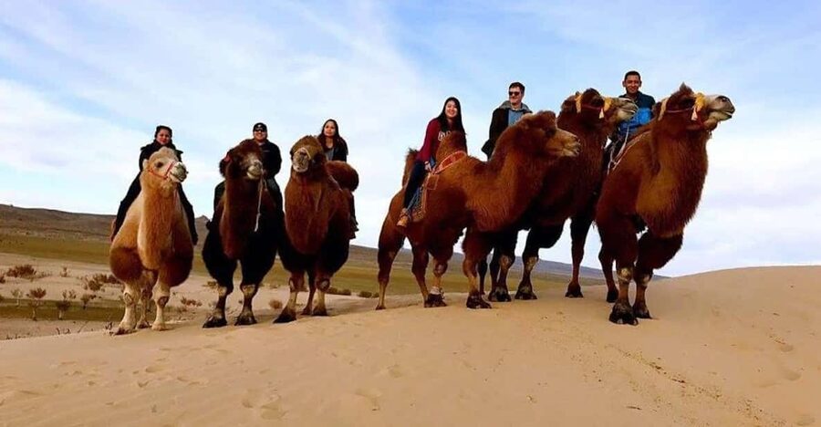Ulaanbaatar: Semi-Gobi Desert Day Trip & Camel Ride - A note about Hustai National Park