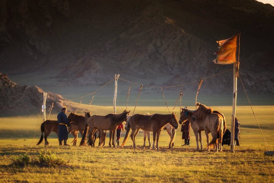Ulaanbaatar: Semi-Gobi Desert Day Trip & Camel Ride - A local lunch and a visit to a nomadic ger