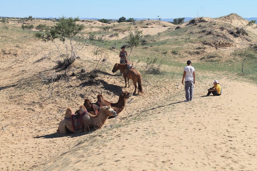 Ulaanbaatar: Semi-Gobi Desert Day Trip & Camel Ride - Timing, comfort, and what to pack